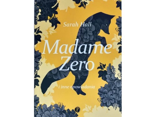 Madame Zero i inne opowiadania - Książka